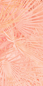 高级粉色肌理背景图片