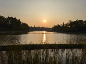城市湿地公园夕阳西下