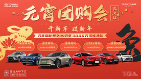 丰田元宵团购会
