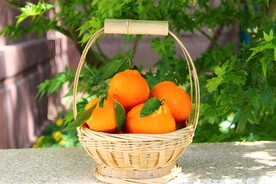 柑橘