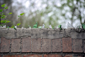 墙头防盗瓶子岔