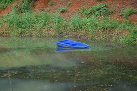 鱼塘小船