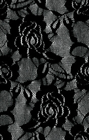 蕾丝  
