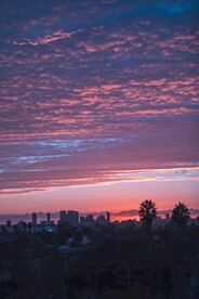 彩霞下城市剪影