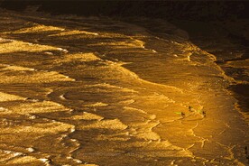 金色纹理背景图片