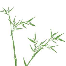 竹子素材