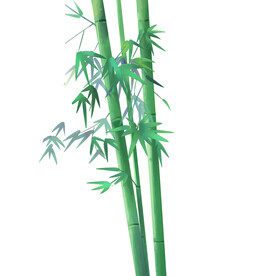 竹子素材
