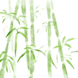 竹子素材