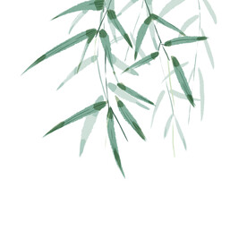 竹子素材