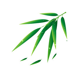 竹子素材