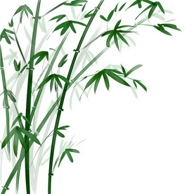 竹子素材