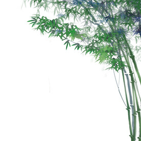 竹子素材