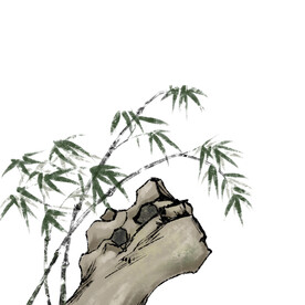 竹子素材