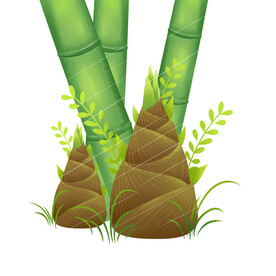 竹子素材