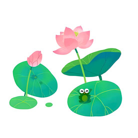 荷花素材