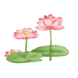 荷花素材