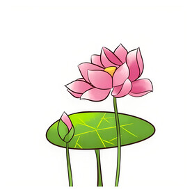 荷花素材