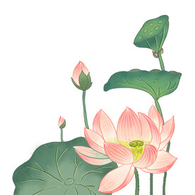 荷花素材