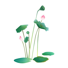 荷花素材