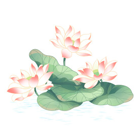 荷花素材