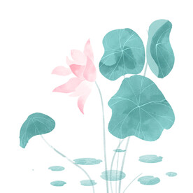 荷花素材