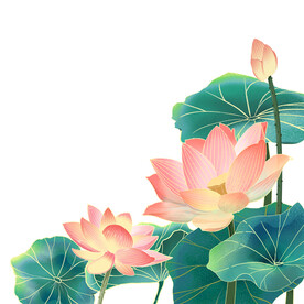 荷花素材