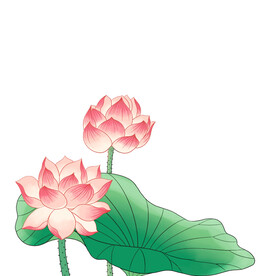 荷花素材