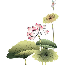 荷花素材