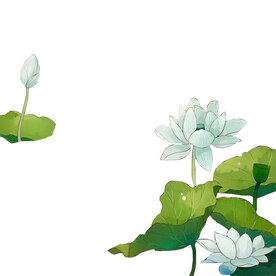 荷花素材