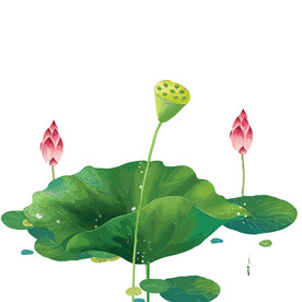 荷花素材