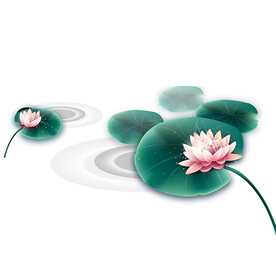 荷花素材
