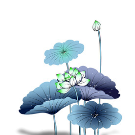 荷花素材