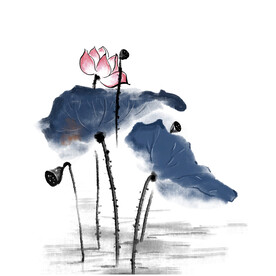 荷花素材
