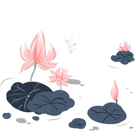 荷花素材