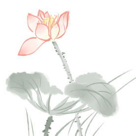 荷花素材