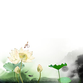 荷花素材