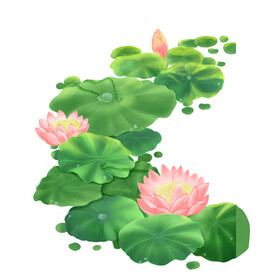 荷花素材
