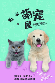 宠物海报