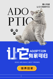宠物海报