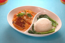 咖喱烧鸭饭