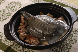 甲鱼煲