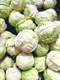 卷心菜 
