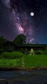 高清唯美风景拍摄竖屏素材