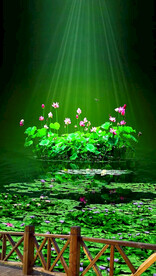 高清唯美风景拍摄竖屏素材