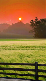 高清唯美风景拍摄竖屏素材