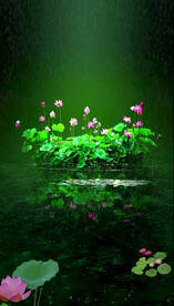 高清唯美风景拍摄竖屏素材