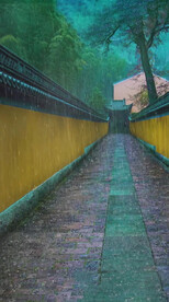 高清唯美风景拍摄竖屏素材