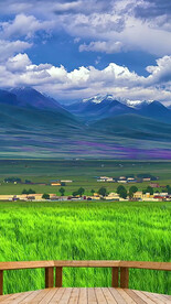 高清唯美风景拍摄竖屏素材