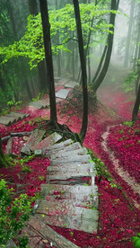 高清唯美风景拍摄竖屏素材