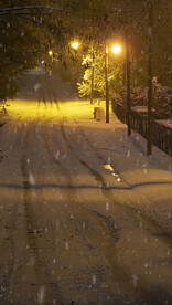 高清唯美风景拍摄竖屏素材